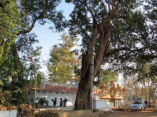 Surya Narayan temple