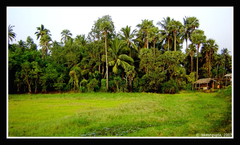 Jagannath Puri to Chilika
