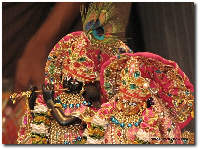 Radhey Krishna