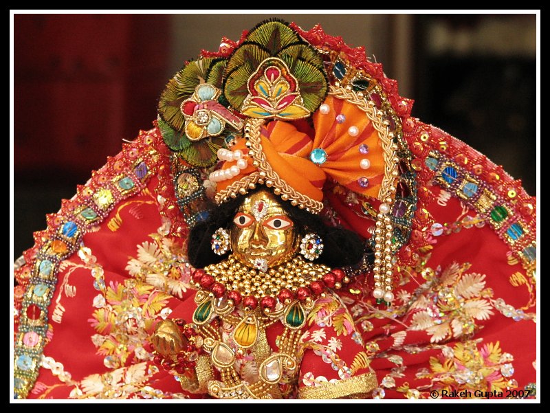 Laddu Gopal