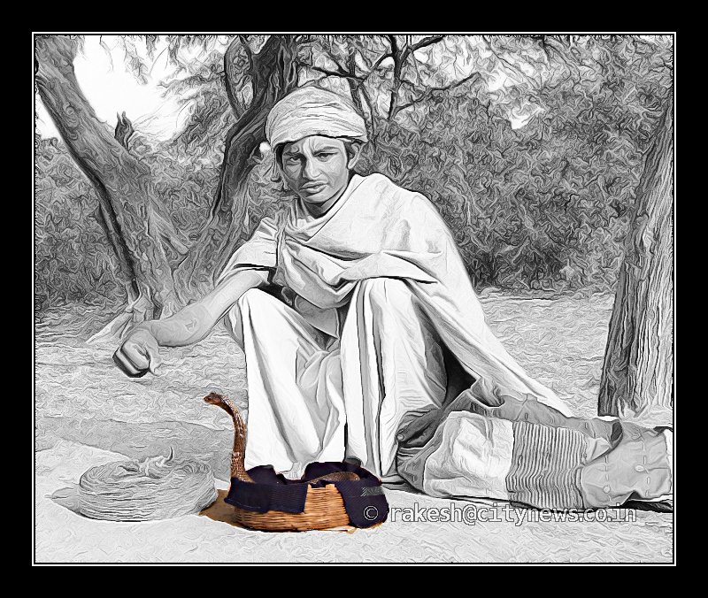 Snake Charmer